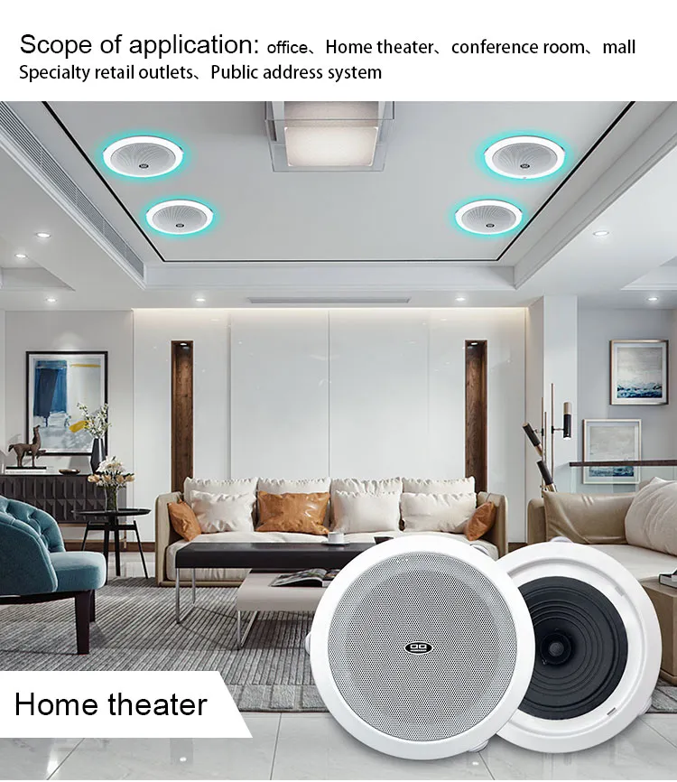 Professional ceiling speakers and audio systems